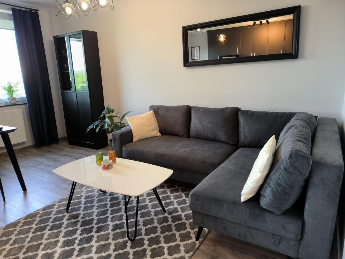 Apartament Stanczyka - 42M2 Cracovia Esterno foto